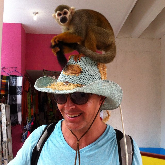 SuperMTL's profile picture. Comic artist and writer. Anti-hipster activist. Rockin' rolling all night and partying everyday. Except on worknights. and most weekends