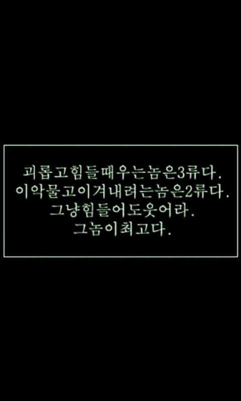 kingbird1303's profile picture. 