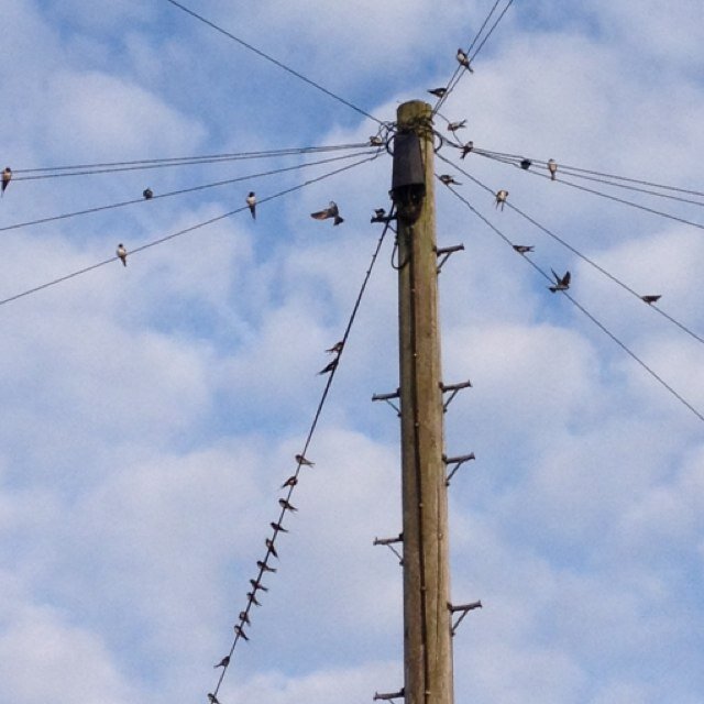 LesleighCribb's profile picture. Just moved from shore to shires