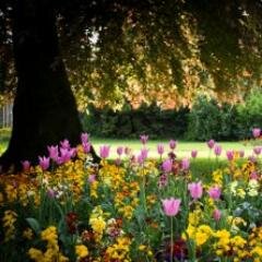 The leafy suburb of #Hillsborough in #Sheffield #England #UK, featuring Hillsborough Park, Rivelin Valley, Loxley, Owlerton Stadium, & Sheffield Wednesday FC.