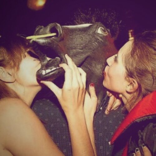 Felxosaurus's profile picture. Etudiant à l'ISSBA depuis 2012, profite des belles choses de la vie à #Angers.