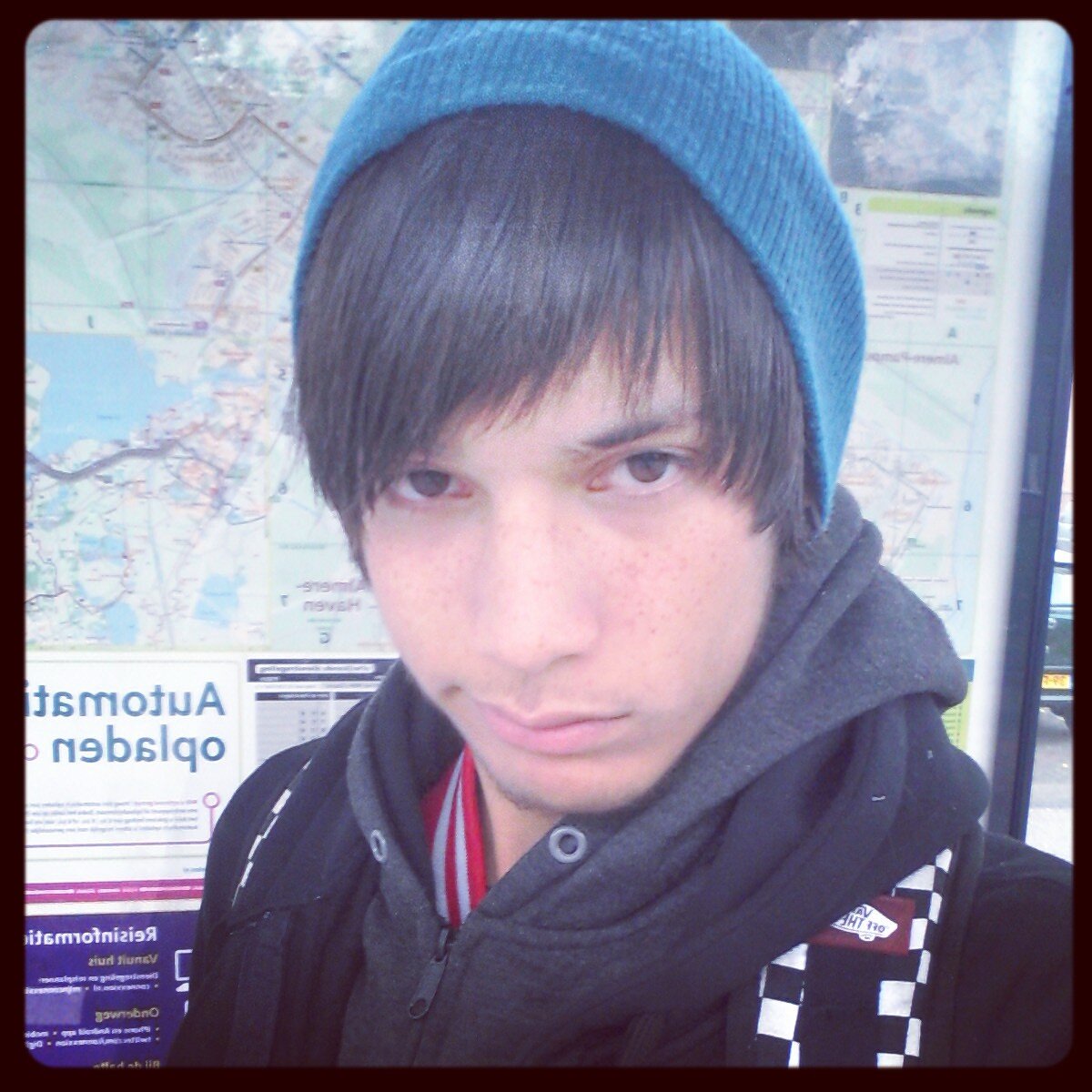 -Paradox With Flies-