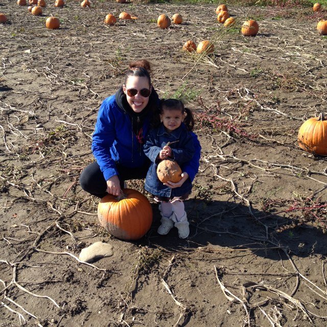 ferretlover93's profile picture. 