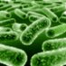 micro monash (@microbiolmonash) Twitter profile photo micro monash (@microbiolmonash) Twitter profile photo