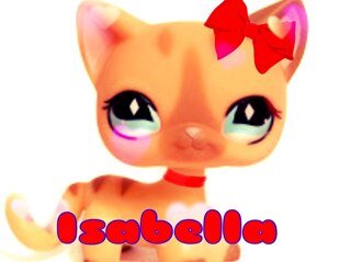 hi im Isabella i love lps and skateboarding im 12 years old and i love oreos im taken by @Edwardlps