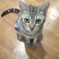 ひな (@hina3012) 's Twitter Profile