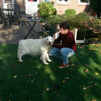 HJFM De Brouwer (@harrydebrouwer2) 's Twitter Profile