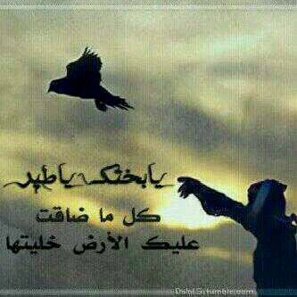 اللهم انا نسألك حبك وحب من يحبك وحب كل عمل يقربنا الى حبك