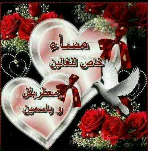 AmerAmsha's profile picture. 