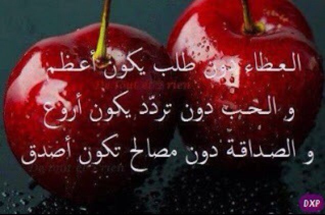 adel_1292's profile picture. 