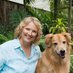 Susan Briggs (@crystal_canine) Twitter profile photo Susan Briggs (@crystal_canine) Twitter profile photo