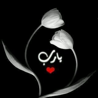 أستغفر الله مفتاح كل الأبواب فأكثرو منه