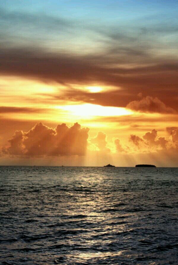 newtab93's profile picture. 