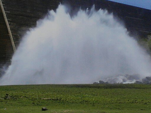 GabrieleMedei16's profile picture. 