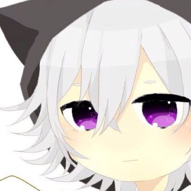 りお((└(:3」┌)┘))さんのプロフィール画像