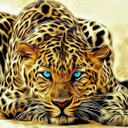 ANTONIO ALBORNOZ (@13albornoz) Twitter