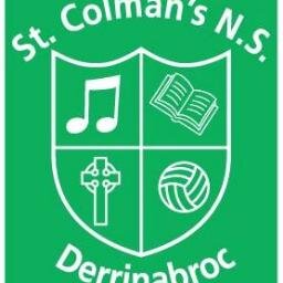 2 teacher rural national school Digital School of Distinction FÍS winner 2013 & 2014 County Football Champions 2014 & 2019 Blue Active Flag bloggers