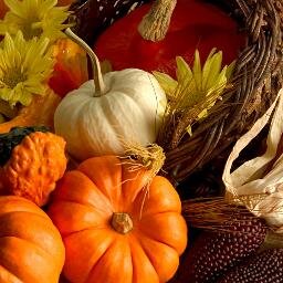 thanksgivingz's profile picture. 