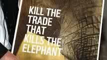 Join us in our fight to kill the trade that kills lions, tigers, rhinos, elephants and other endangered Species... #KillTheTrade