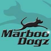 Dog Training Club for all shapes and sizes. Based in Wellingborough, Northamptonshire.