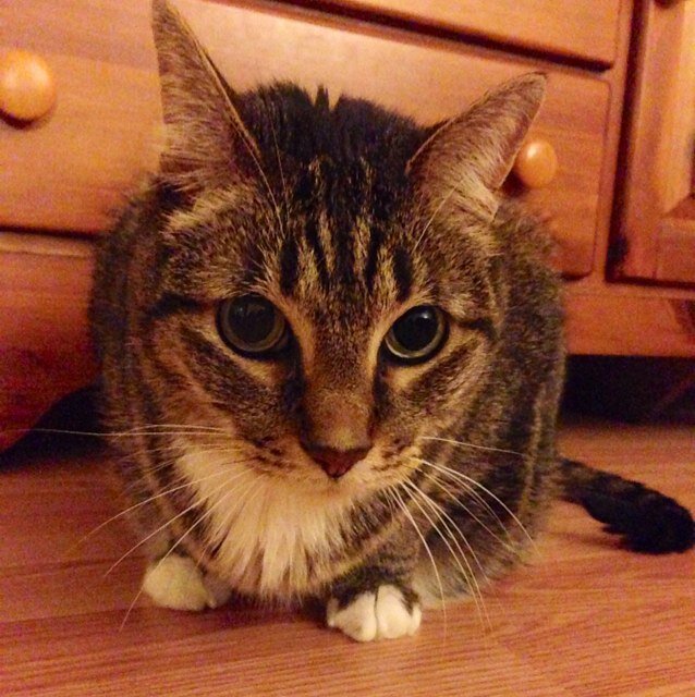 Dr_Gena's profile picture. Micro Prof at a LAC. Most tweets are about running and my kids.