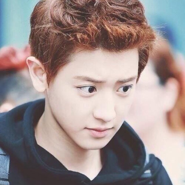박찬열(bot) 9.15start 恋って言うから愛に来て @exohsehun412 ←僕のね。10.15〜