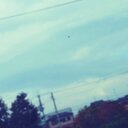 るーく (@0524Per) Twitter