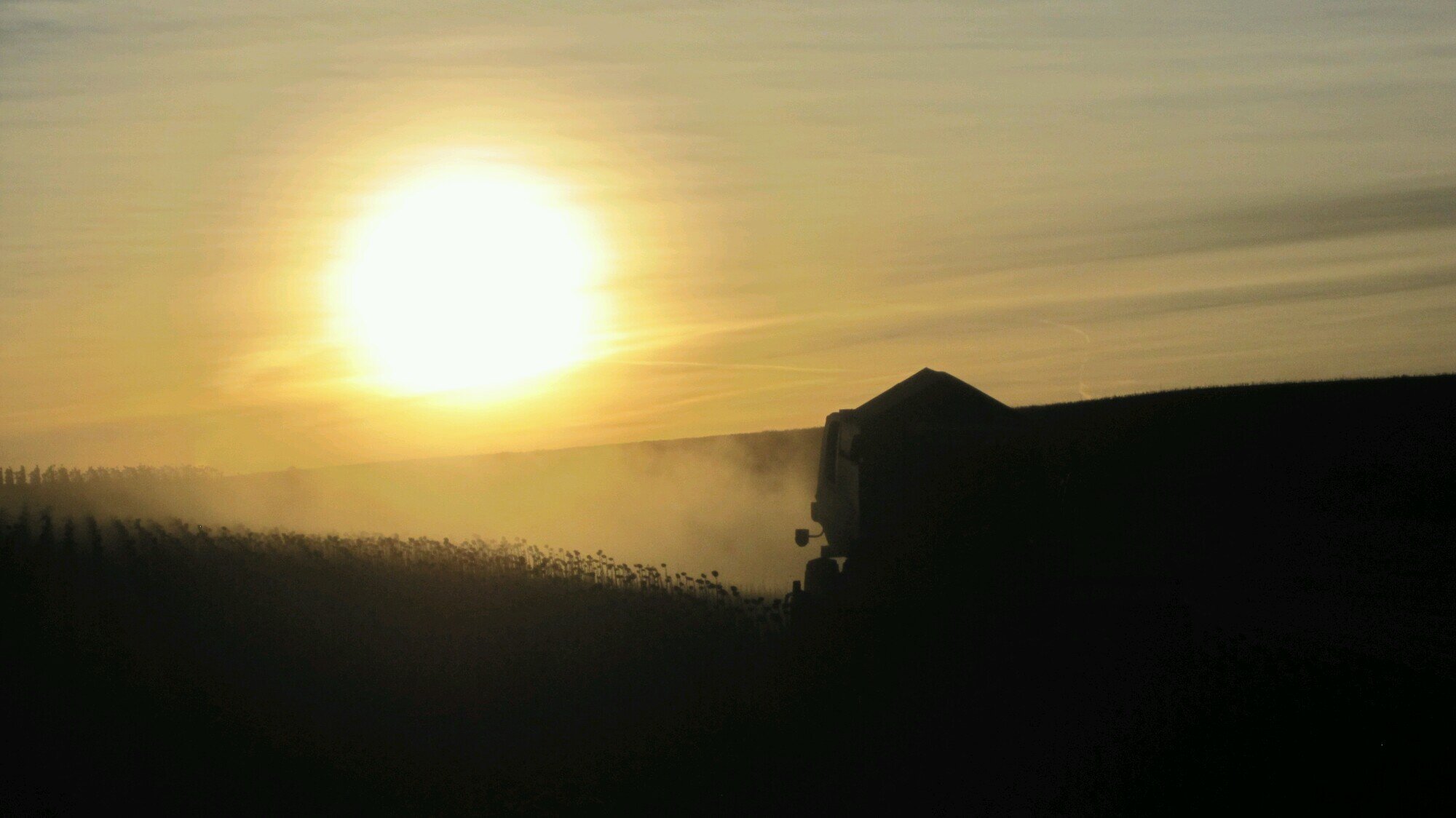 Twitter dedicado a la agricultura, y todo lo que esté relacionado con el campo; maquinaria, cultivos, tratamientos, ...