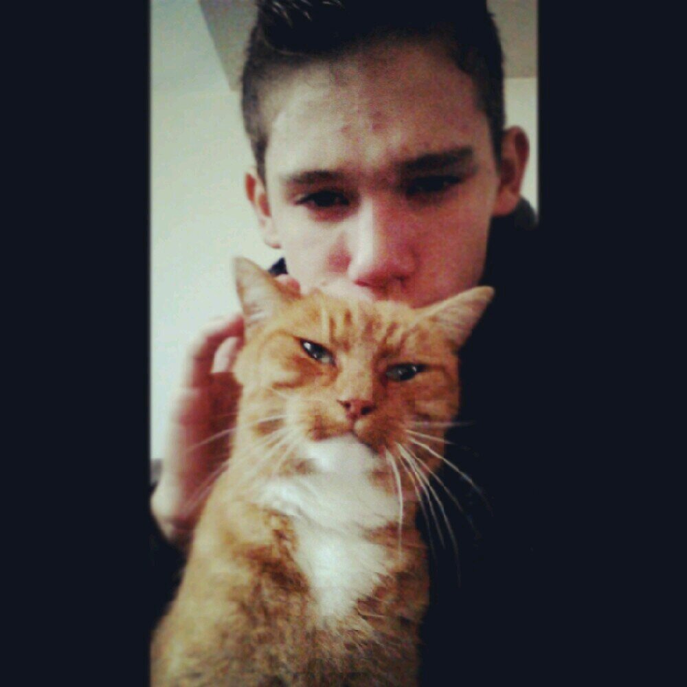 ik tweet domme dingen
