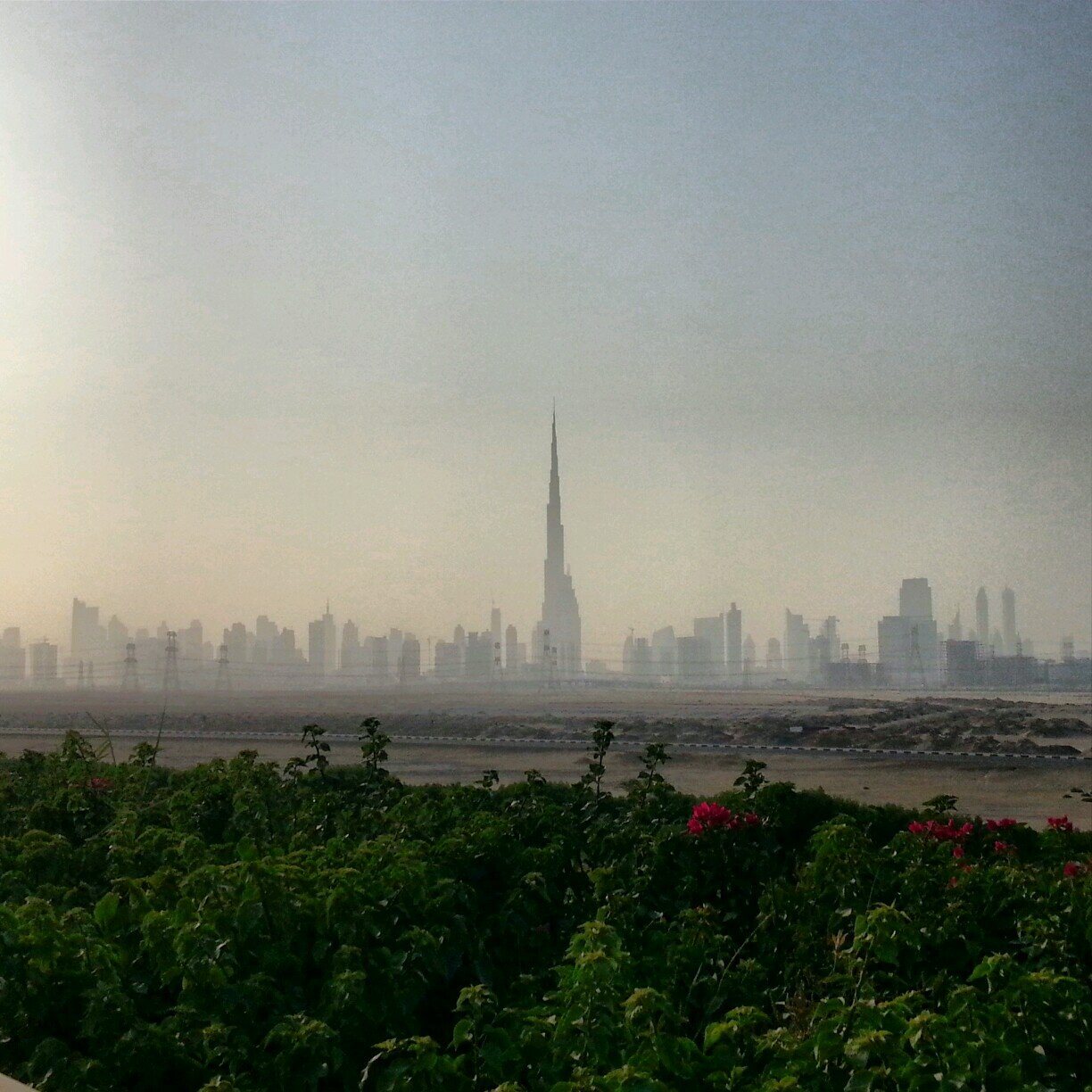 HamoodAlhashmi's profile picture. 