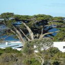 Imran Amjad - @m_Imranamjad - Twitter