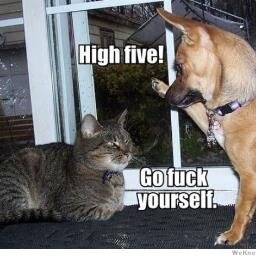 Thedamiendixon's profile picture. Allez Nantes! COYG!