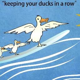 1st Wave Development - keeping your ducks in a row. Web Design and branding company located in Columbia SC. Updated website coming soon! 803-736-2039