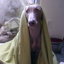 Doyle Robertson - @doyrob248 - Twitter