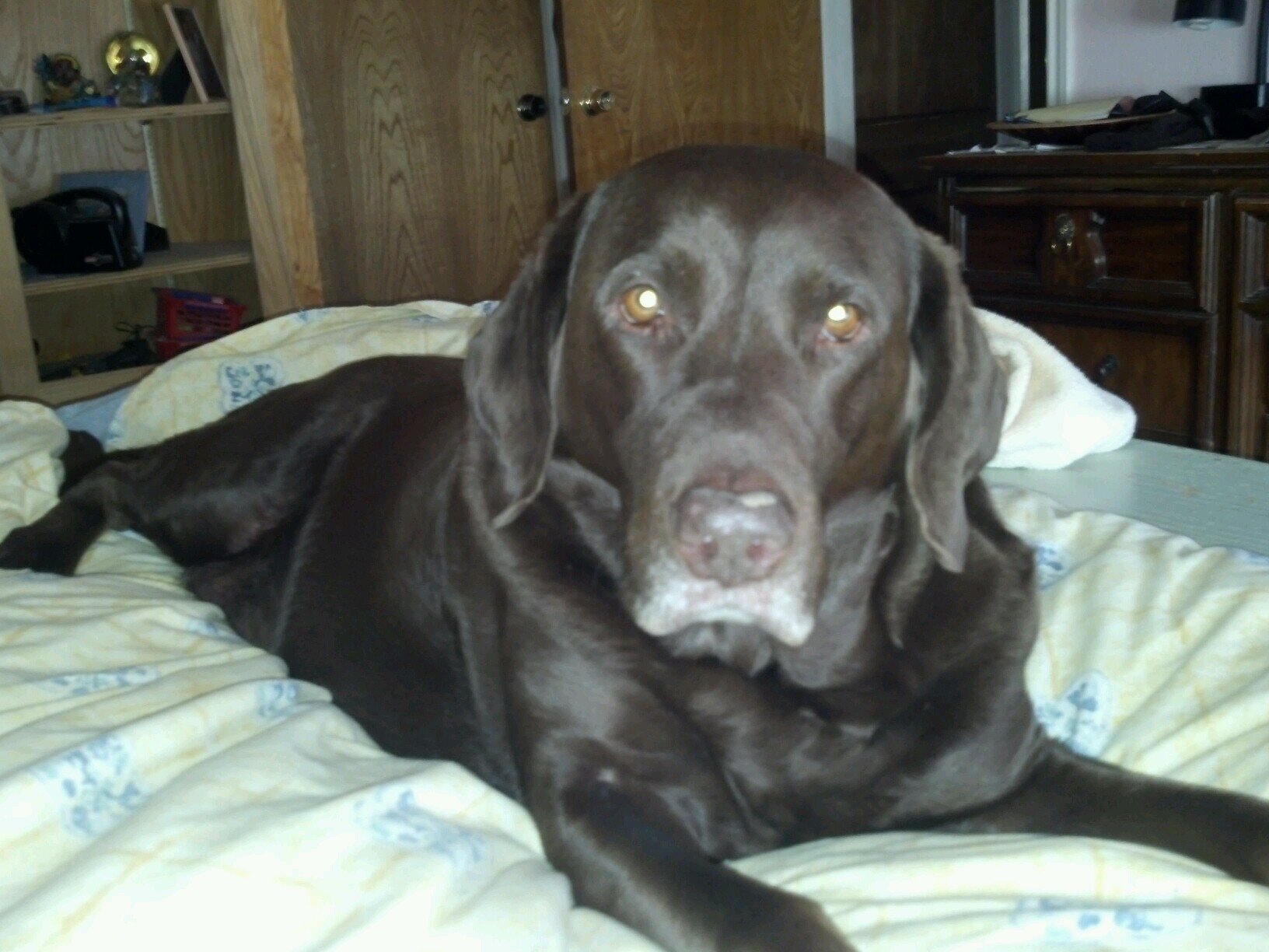 PamSchorr's profile picture. 