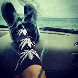 Petq19157257's profile picture. ░░░░░░▀█▀░▄██▄██▄░░▄█░░█▀▀▄░░░░░░ ░░░░░░░█░░▀█████▀░░░█░░█░░█░░░░░░ ░░░░░░▄█▄░░░▀█▀░░░░▄█▄░█▄▄▀░░░░░░