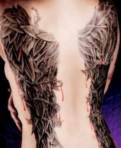 Mividaentwetts's profile picture. 