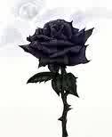 Over time, we commit acts with intentions, either good or bad that require forgiveness