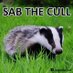 Badgerlena (@writtenwarning1) Twitter profile photo