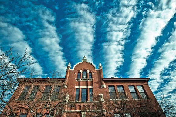 MSU Economics Profile