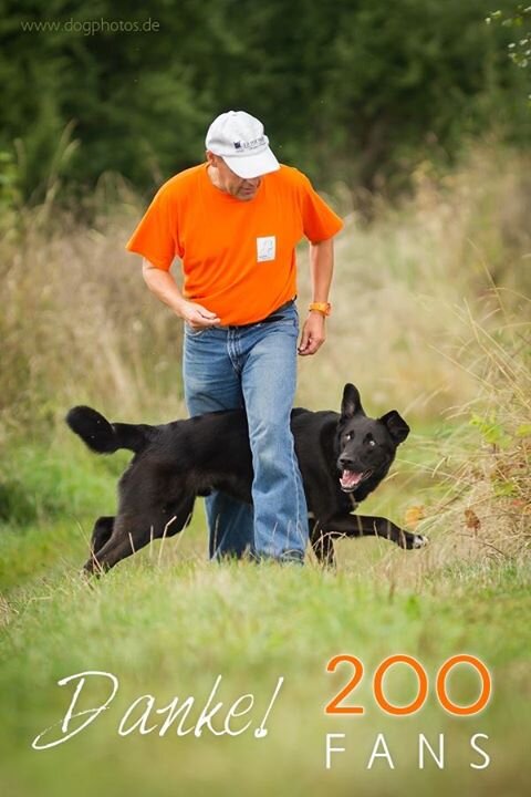 Fit met hond - dat is een gat in de markt en twee vliegen in een klap! Hond en eigenaar trainen samen fitness, kracht en gezondheid