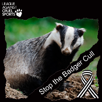 League Against Cruel Sports Member,
Co - Founder Hastings & Rother Against The Badger Cull,-Saints Fan for 30 years- Respect Party Member- Animal Lover