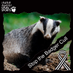 Andy Ives (@andybadgerives) Twitter profile photo Andy Ives (@andybadgerives) Twitter profile photo
