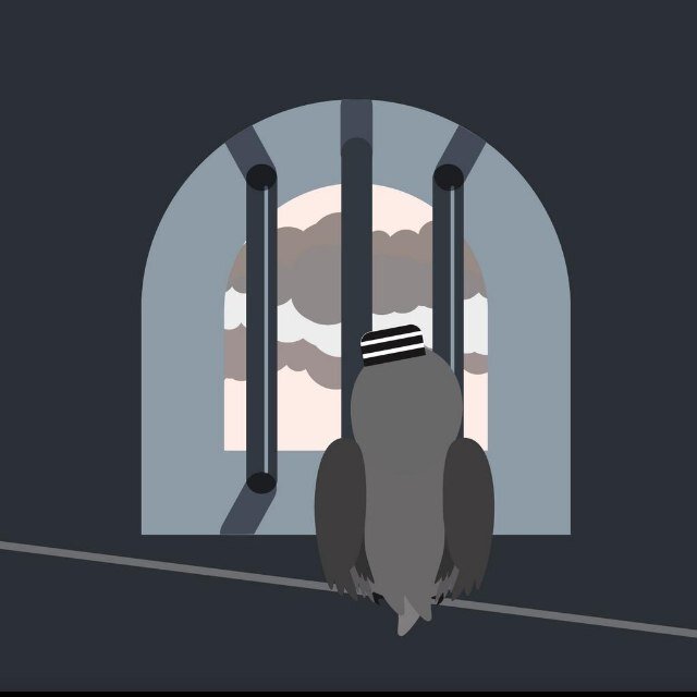 Pidgey is a happy, simple kind of pigeon who enjoys the finer things in life. He adventures alot (or far as his wings will take him - hes a bit lazy our Pidgey)