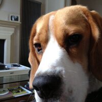 Tim Meggs (@timmeggs) 's Twitter Profile