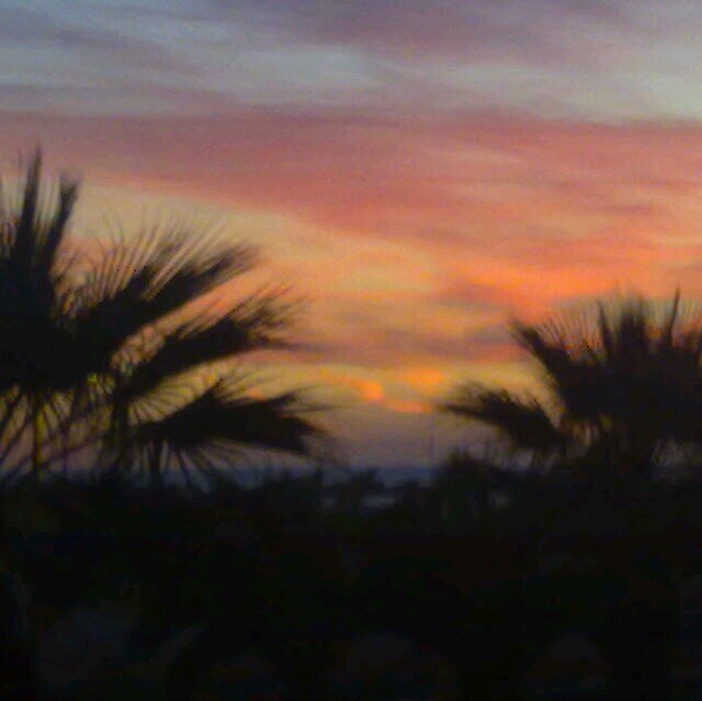 ernestrans's profile picture. Transfreelance