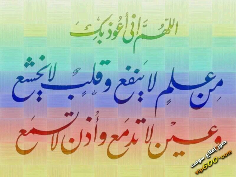 ‏بيد العفاف اصون عز حجابي ،،وبعصمتي اعلو على اترابي   ~~  يسوؤني القراءه للرويبضه والامعه فالاول يهذر بما لايفهمه والاخر ممسوخ الهويه~            Riyadh