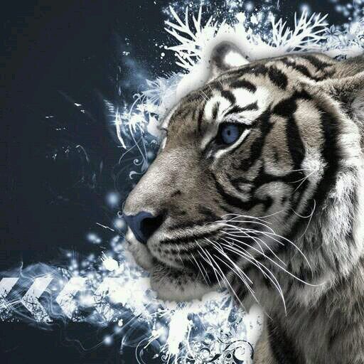 Leon22119H's profile picture. Love my country 💚. Follow me and I will 💯 follow back.