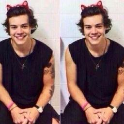 @harrysababy Please follow i have goal and ilysm i fb @harrysababy