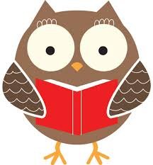 Grade 3 Teacher, OCT, B.A. History & Political Science (Hons), M.T.
